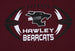 Hawley Bearcats - Football T