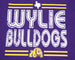 Wylie Bulldogs - Distressed Stripe T